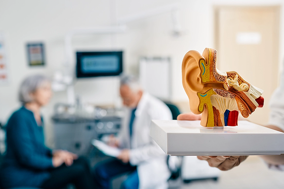 Understanding Sensorineural Hearing Loss